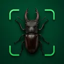 InsectDex