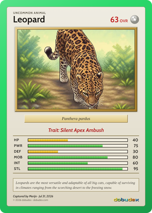 Leopard card from Merijn’s saved scan, dated 31 July 2026