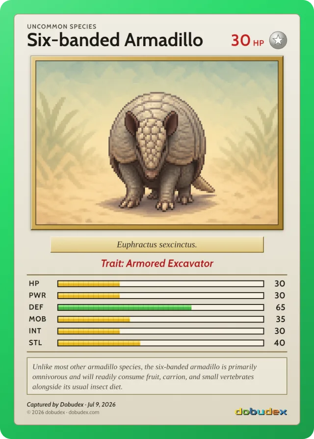 Uncommon card: a Six-banded Armadillo in a green frame