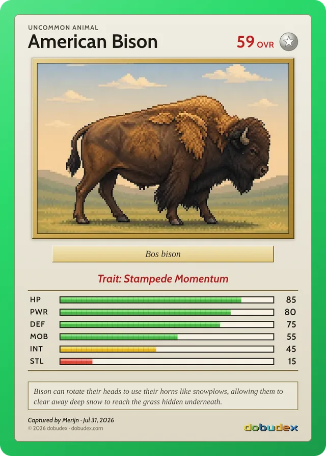 A dobudex card of an American Bison, drawn in retro game style, with its overall rating, stats, trait and rarity
