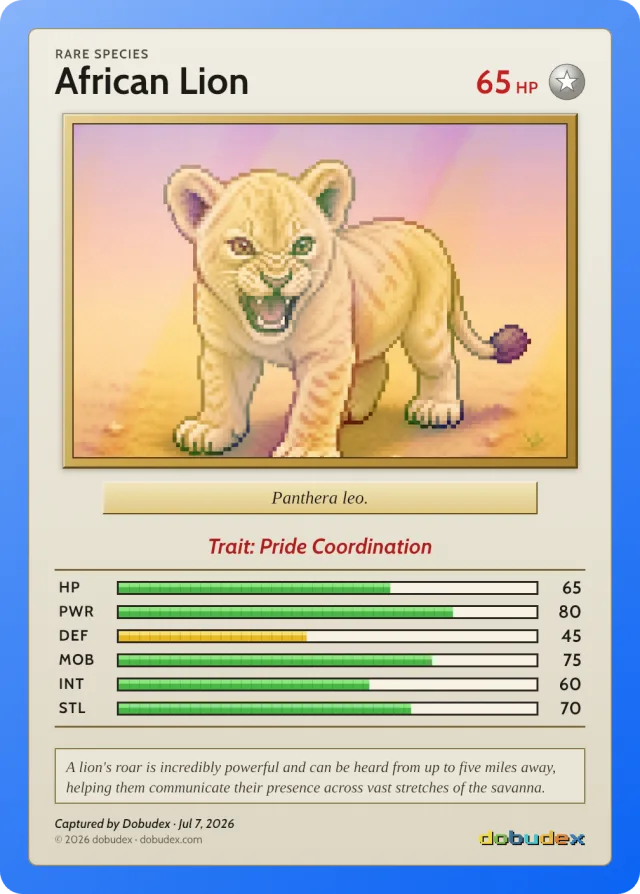 Rare card: an African Lion cub in a blue frame