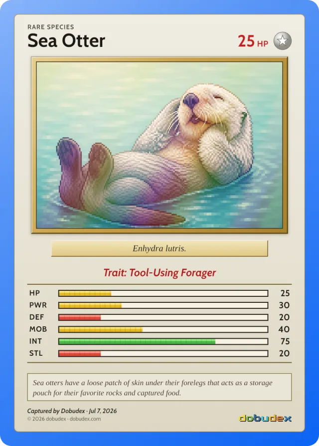 A Rare dobudex card: a pixel-art Sea Otter floating on its back, with six stats, in a blue holographic frame