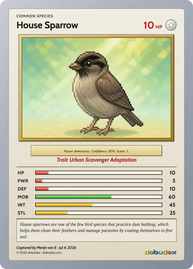 A dobudex card for a House Sparrow showing species, rarity, six stat bars, a trait, a biology fact and a capture credit