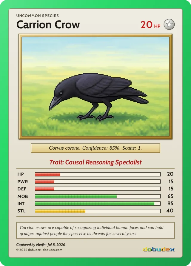 dobudex card: Carrion Crow, Uncommon, trait Causal Reasoning Specialist