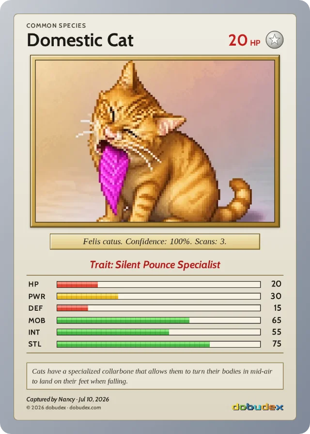 dobudex card: Domestic Cat, Common, 20 HP, trait Silent Pounce Specialist