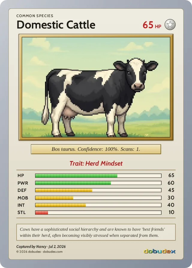 dobudex card: Domestic Cattle, Common, trait Herd Mindset