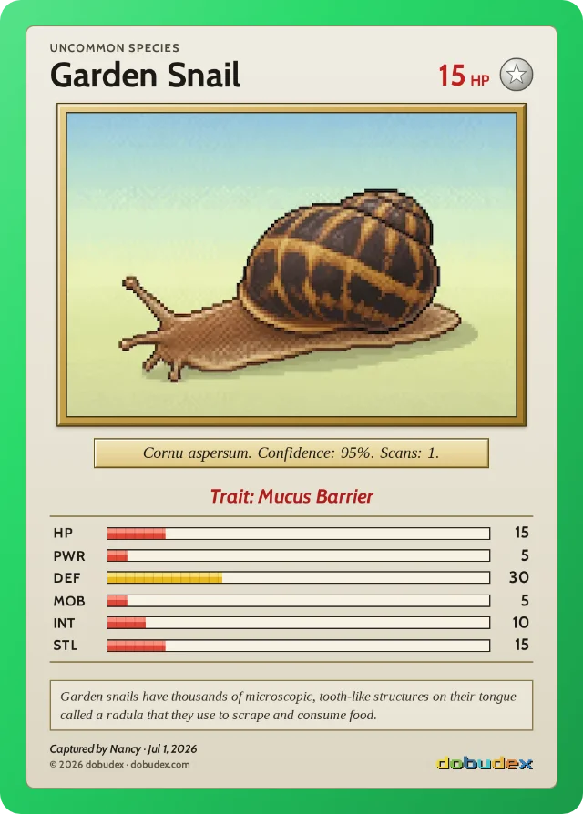 dobudex card: Garden Snail, Uncommon, trait Mucus Barrier