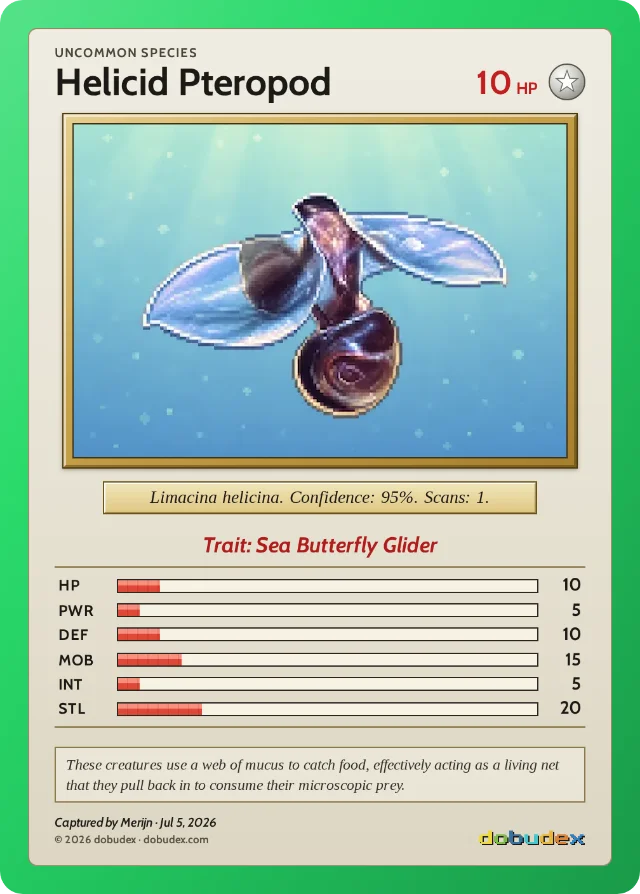 dobudex card: Helicid Pteropod sea butterfly, Uncommon, trait Sea Butterfly Glider