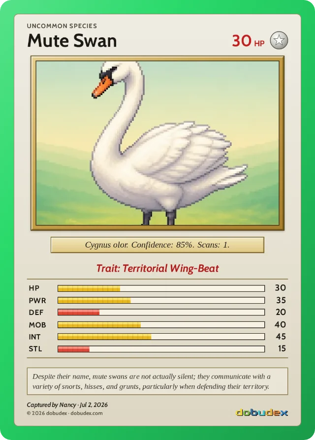 dobudex card: Mute Swan, Uncommon, trait Territorial Wing-Beat