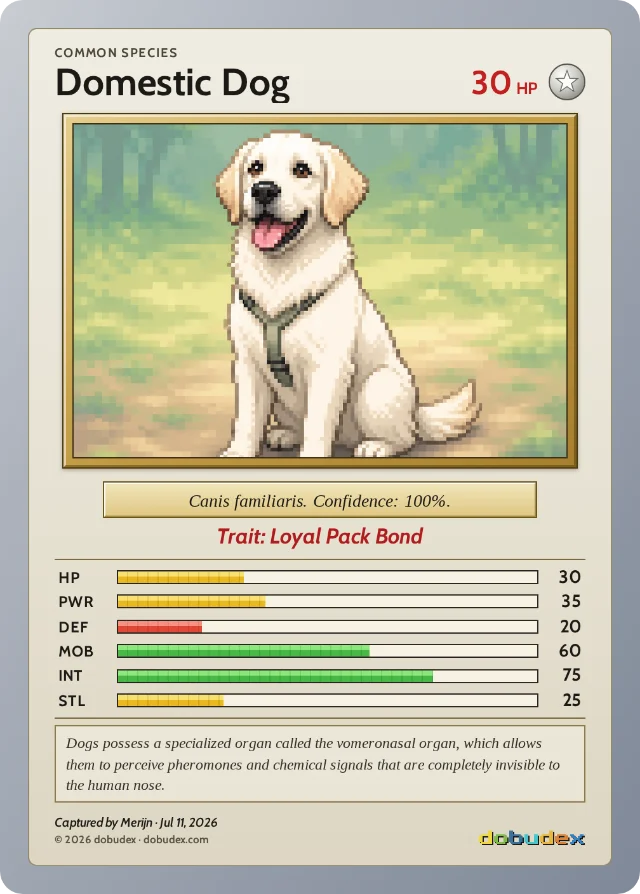 The resulting dobudex card: Domestic Dog, Common, 30 HP, trait Loyal Pack Bond